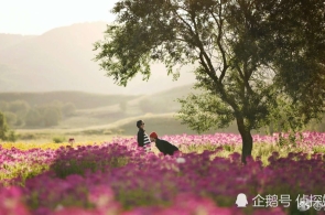 李强签订邦务院令 通告《邦务院合于奉行〈中华公民共和邦公公法〉注册血本存案收拾轨制的轨则》